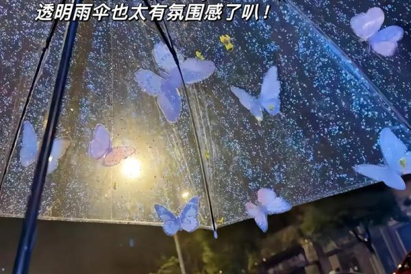 下雨的意义与象征：自然现象背后的深层含义